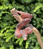 IMG_5754.jpg