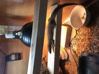 IMG_0469.jpg