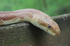 IMG_0328.jpg