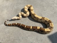 A467D9C6-FF6B-4F71-A0F5-41A36EFD4BF1.jpg