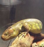 IMG_20220810_213634155~2.jpg
