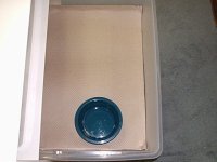 P1010002.JPG