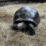 IMG_2370.jpg