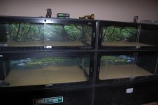 DSC_2099.jpg