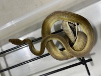 IMG_8684.jpg