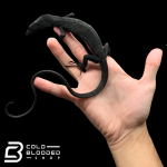 BTM4 (5).png