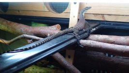 k.rockmonitor1.jpg