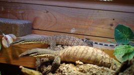parents.krockmonitor.jpg