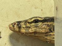 IMG_5737.jpg