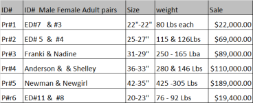 Adult Aldabra Sale.png
