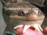 IMG_8311.jpeg