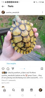 Screenshot_20240307_133404_Instagram.jpg