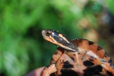 DSC_0174.jpg