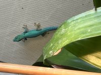 IMG_1513.jpg