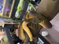 IMG_6569.jpg