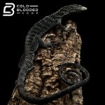 BOEHMEI 2 (9).jpg