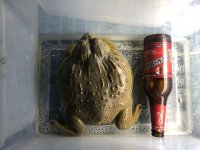 IMG_0111.jpg
