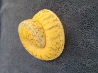 20230922_154208.jpg