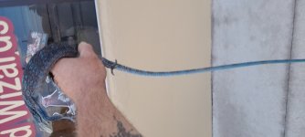 20230908_182111.jpg