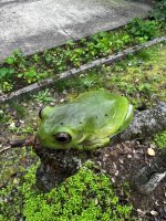 IMG_5516.jpg