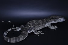C0CADA5B-F00B-437A-9E4F-6AD1D31A2091.jpg