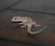 20230828132846.897-IMG_2819-856x722c.jpeg