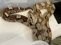 B5AAECEC-8AFB-4A12-B980-8F57DA19A2A7.jpg