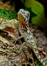 thumbnail (28).jpg