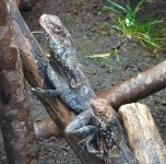 thumbnail (30).jpg