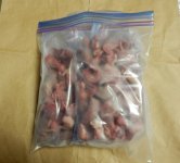 rat pinks.jpg