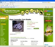 ReptileLavCorn.jpg