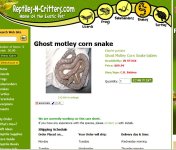 GhostMotley1.JPG