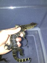IMG-20110426-00055.jpg