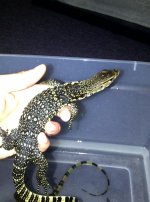 IMG-20110426-00056.jpg