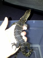 IMG-20110426-00057.jpg