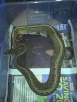 2011-05-21_19-44-58_721.jpg