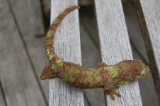 DSC_0049.jpg