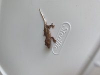 IMG_6964.jpg