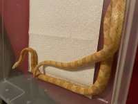 IMG_0461.jpg
