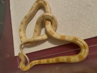IMG_0466.jpg