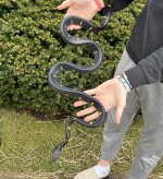 IMG_4482.jpg