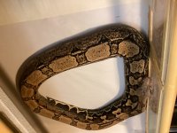 IMG_5253.jpg