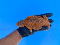 IMG_3692.jpg