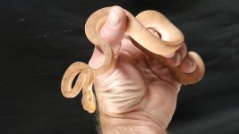 20230924_234331.jpg