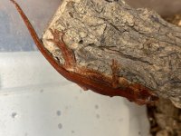 IMG_3897.jpg