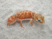P9200665.jpg
