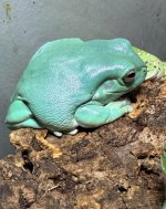IMG_5049.jpg