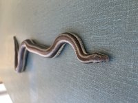 IMG_3891.jpg