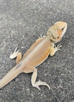 IMG_5721.jpg