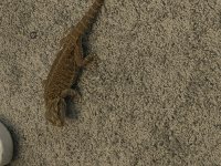 IMG_6904.jpg